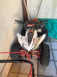 Mini quad 110