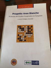 Progetto aree bianche