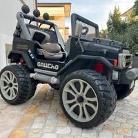 Gaucho Xp 24 volt con carrello originale e gancio