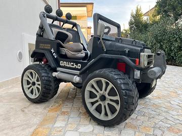 Gaucho Xp 24 volt con carrello originale e gancio