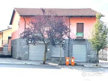2 ville singole in Via Torino 25