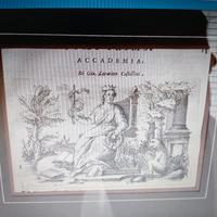 antica stampa incisione 