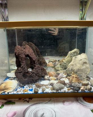 acquario con tutti gli accessori inclusi