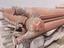 Immagine 1