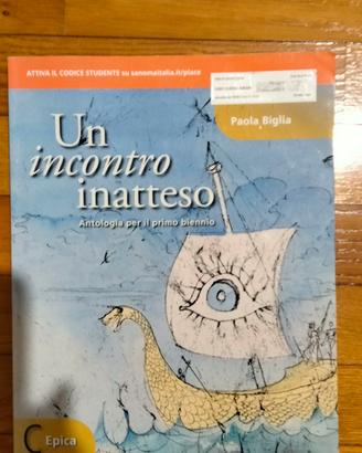 Un incontro inatteso C