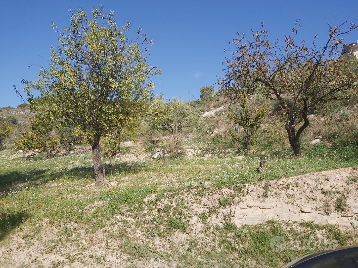 Terreno con piccola casa - Altro