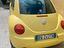 Immagine 3