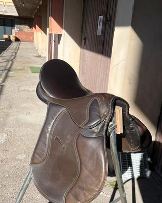 Sella inglese da completo