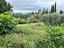 Immagine 13