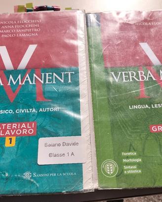 verba manent