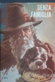 Libro "Senza Famiglia" - H. Malot
