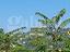 Immagine 27