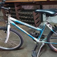 Bici mountain bike misura 26 Giannini