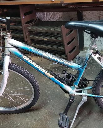 Bici mountain bike misura 26 Giannini
