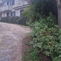 Per lavoratrici,immerso nel verde ,300m dal centro