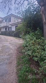 Per lavoratrici,immerso nel verde ,300m dal centro