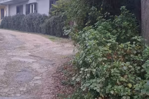 Per lavoratrici,immerso nel verde ,300m dal centro