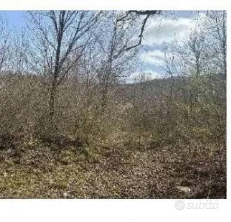 Immobile in asta di 52058 m² a Bagnoli del Trigno - Vista 3
