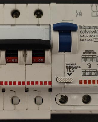 Salvavita G43/32AC + Magnetotermico C20 F84/20 4P