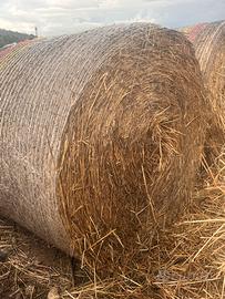 Rotoballe fieno di grano