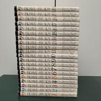 Brave story 1-20