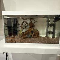 Acquario e accessori