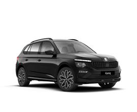 Skoda Kamiq 1.0 tsi black dots 115cv dsg