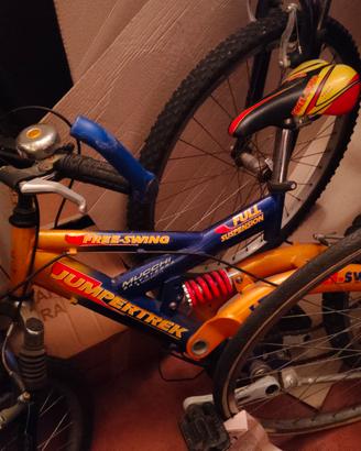 Bicicletta da bambino