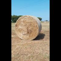 Balloni di fieno