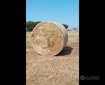 Balloni di fieno