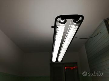 Lampada neon Zerbetto