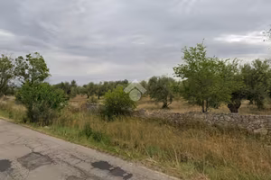 TERRENO A ASCOLI SATRIANO
