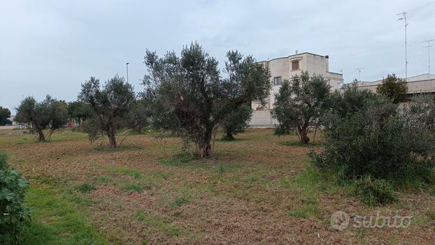 Terreno edificabile - Lecce