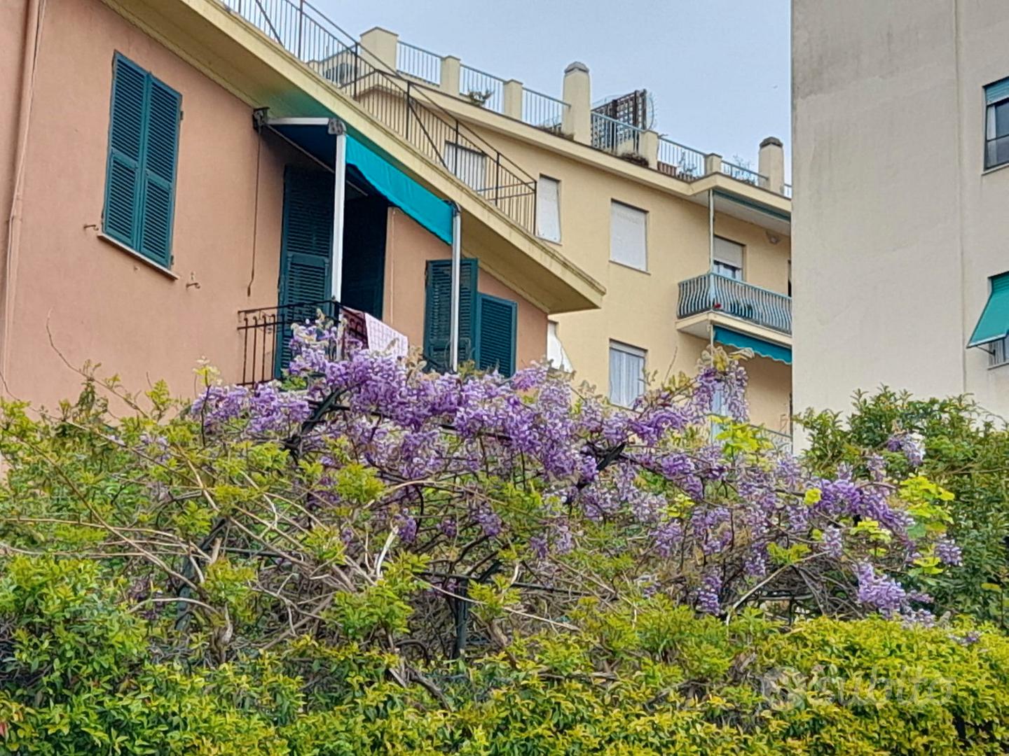 Quinto 5 Posti Letto Posto Auto animali ammessi Case vacanza In