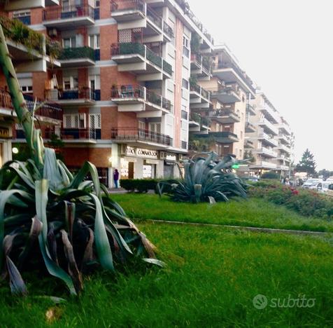 STANZA SINGOLA in zona GEMELLI / BALCONE