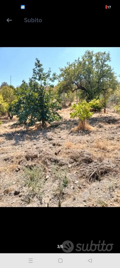 Terreno agricolo con progetto - Vista 3