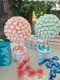 Alberelli x gender reveal