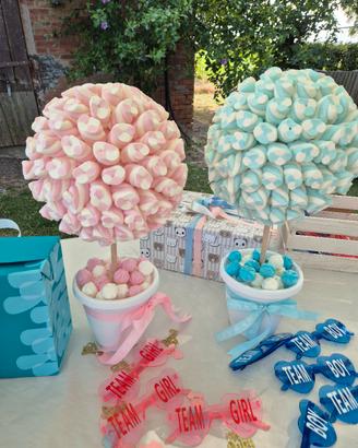 Alberelli x gender reveal