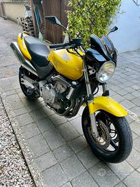 Honda Hornet 600