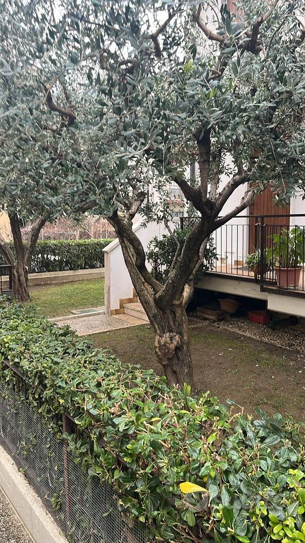 Casa a schiera Poiano