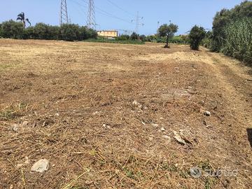 Terreno agricolo 10.000 mq