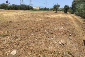 Terreno agricolo 10.000 mq