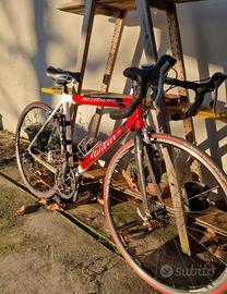 bicicletta professionale ( carbonio ) 