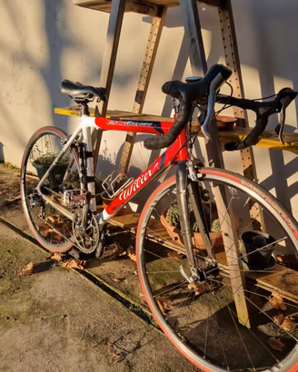 bicicletta professionale ( carbonio ) 
