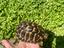 Immagine 2