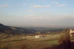 Spazi per una Grande Realtà in OltrePo