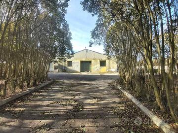 Immobile di 250 m² a Noci