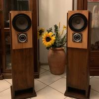 Casse acustiche artigianali (Canton + Philips)