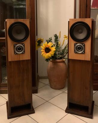 Casse acustiche artigianali (Canton + Philips)