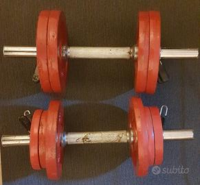 Coppia manubri + pesi